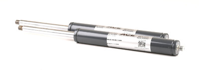 2x ACE GS-22-100-EE-1100N Gasdruckfeder Dämper Druckfeder 1100N Stoßdämpfer