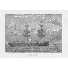 HMS Nelson - Antique Print 1884