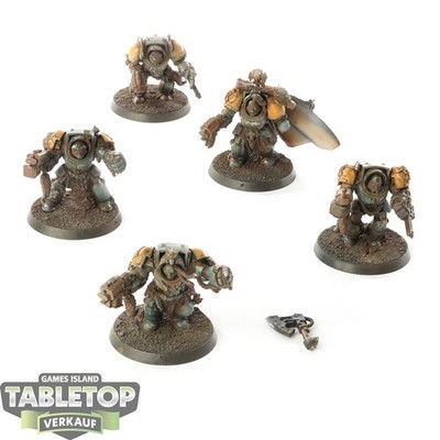 Space Wolves - 5 Wolf Guard Terminators - bemalt