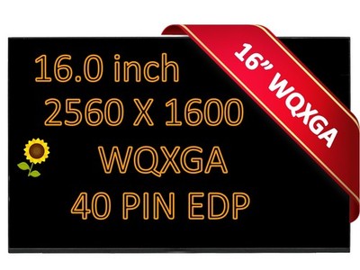 BOE NE160QDM-NYG V18.0 N41333-L61 120Hz WQXGA IPS LCD Screen Matte LED Display
