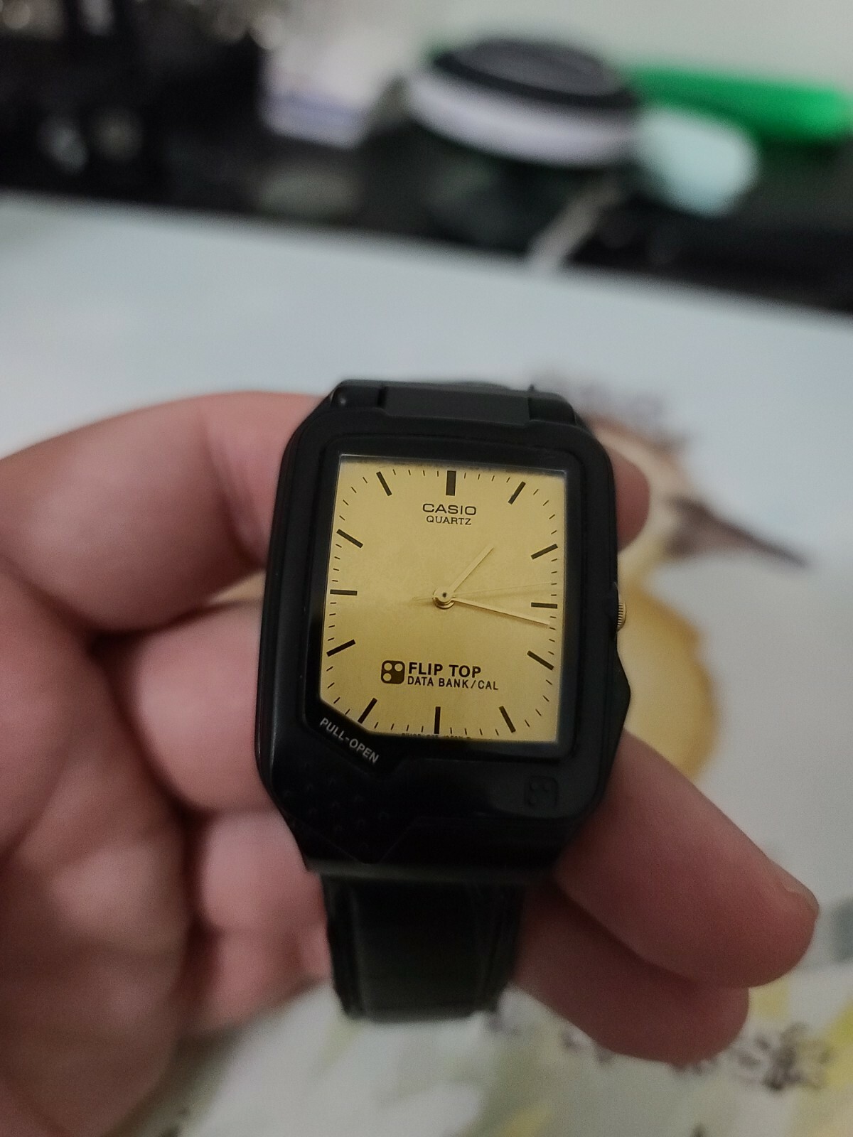 casio vintage databank