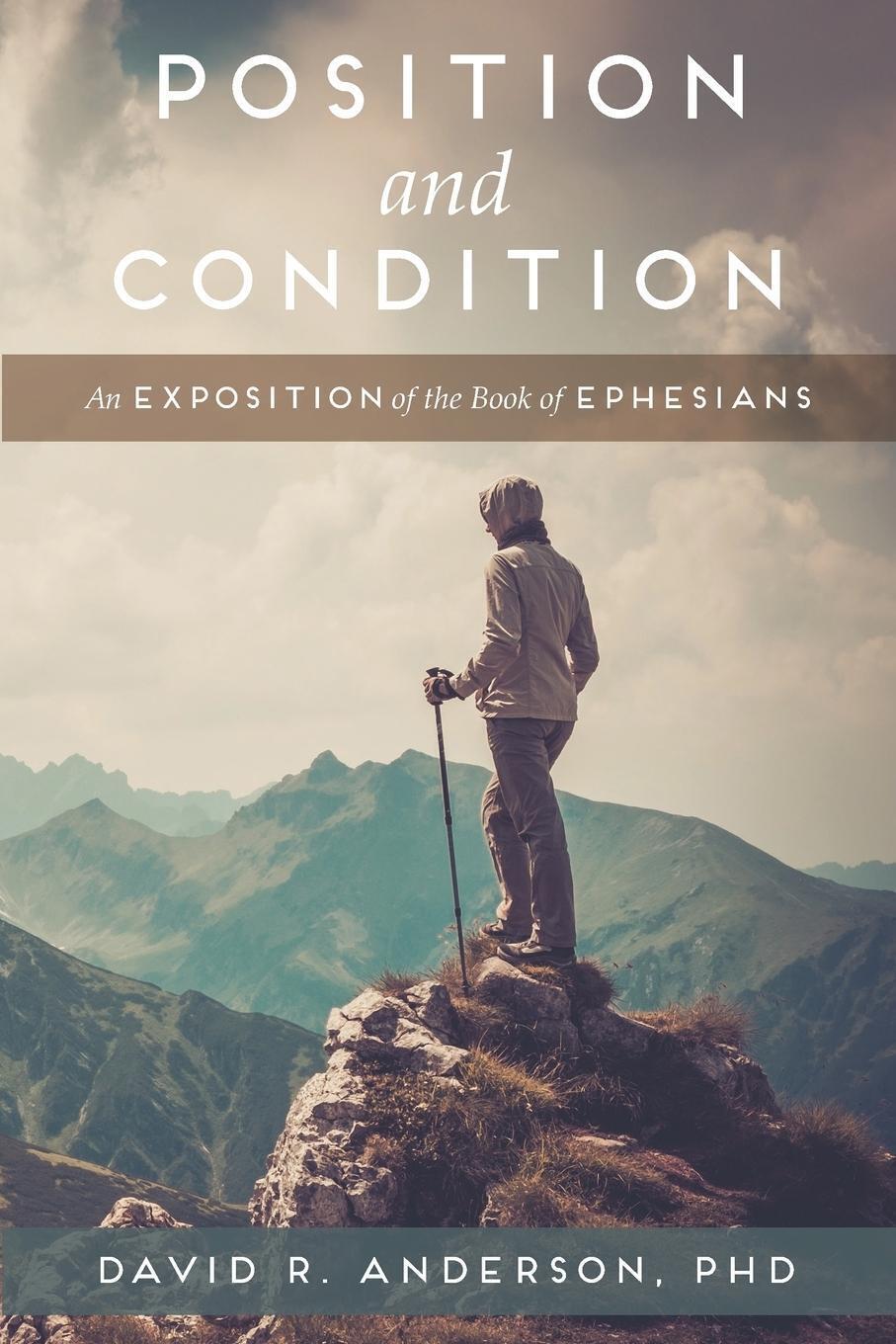 Thumbnail - Position And Condition | David R. Anderson | Taschenbuch | Paperback |