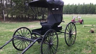 Horse Drs Buggy Vintage | eBay