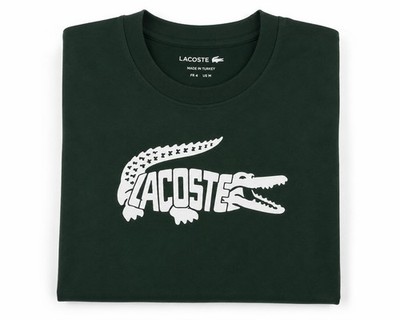 Lacoste Herren Sport Rundhals Large Logo Ultra Dry Fit T-Shirt_Grün
