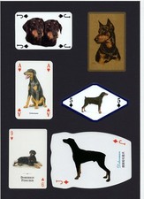 DOBERMAN MOUNTED SET VINTAGE DOG COLLECTABLE CARDS L1