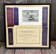 Vintage 40s American Kennel Club Champ Certificate Ribbons Boxer Dog Display🔥
