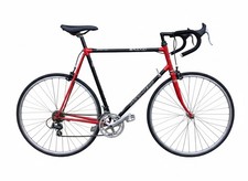 Vintage Raleigh Dynatech 300 25” -  UK DELIVERY