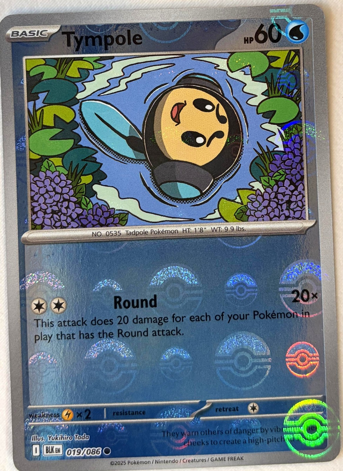 Pokémon Tympole (Poké Ball) Black Bolt #19 🇺🇸
