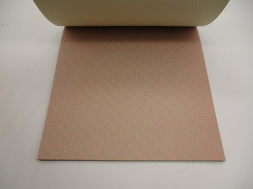 2 PACK Anna Griffin Margot Collection 12x12 Cardstock Paper and Layout Pad - Picture 7 of 11