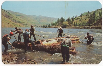 Loggers Lumber Jacks of Potlatch Forest Spring Log Drive Logging Lewiston Idaho