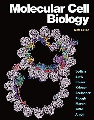 Molecular Cell Biology Paperback
