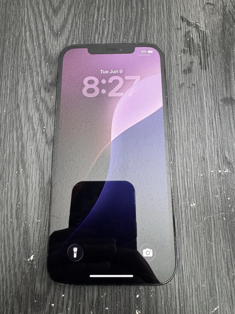 苹果iPhone 12 Pro Max 128gb | eBay