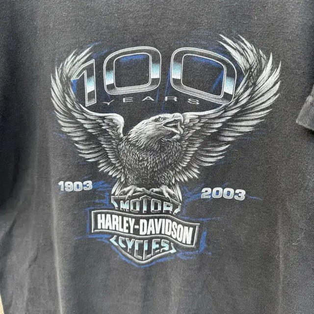 Harley Davidson 2003 100th Anniversary Vintage Printed T-Shirt (L)