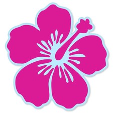 Hibiscus Flower Pink car bumper sticker window decal 4" x 4"