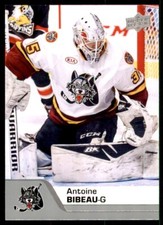 2020-21 Upper Deck AHL #14 Antoine Bibeau