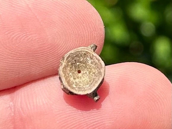 Dinosaur Age Fossil Vertebrae Hell Creek Formation Reptile Amphibian Fish - Image 3 of 4