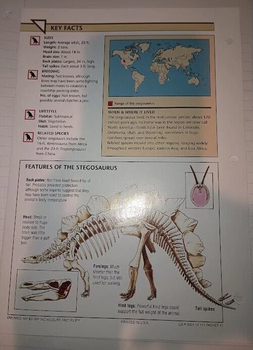 Tarjeta desplegable Stegosaurus #7 Grupo 7 Wild Life File Foto 2 de 3