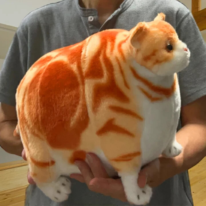 Fatty Zoo Plush Cat Stuffed Toy Animals American Shorthair 16