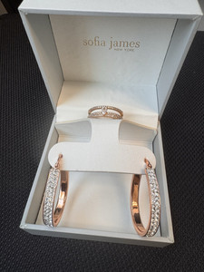 Authentic Sofia James Rose Gold Plated Crystal Jewelry Set Ring Hoop Earrings Round Ring