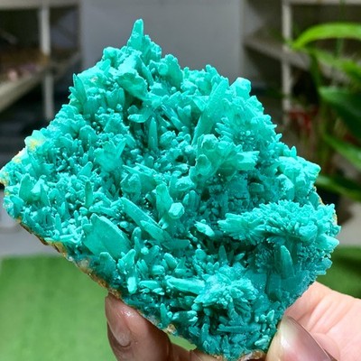 185G Natural green copper zinc ore * Rare ARSENATE Minerals