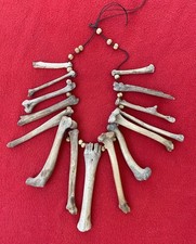Extraordinary Old Aztec Xoloitzuintle Bone Sh...