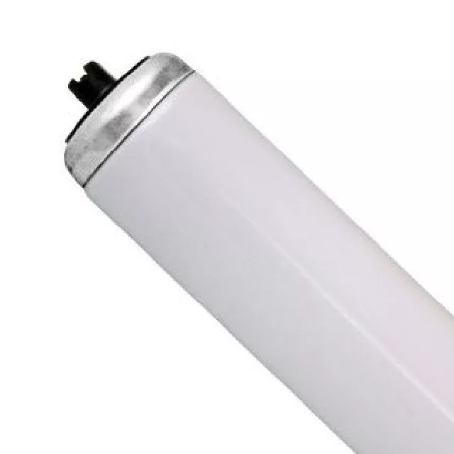 F60T12 D HO Straight T12 Fluorescent Tube Light Bulb DAYLIGHT eBay