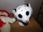 Bild 2 von 2