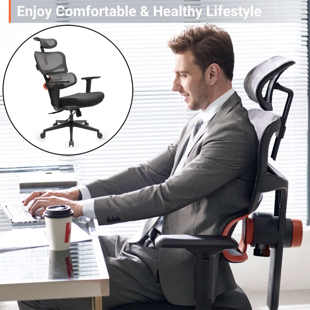 NEWTRAL High Back Ergonomic Office Computer Chair with Tiltable Lumbar  Support