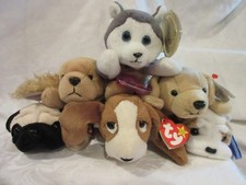 Beanie Babies PUPPY LOT 6 Wrinkles, Fetch, Spunky, Nanook, Pugsley  Tracker