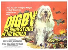 DIGBY THE BIGGEST DOG IN THE WORLD 1973 UK quad poster print 30x40" Jim Dale