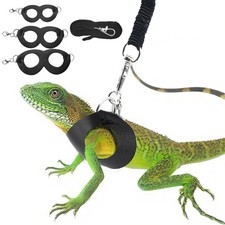 Bearded Dragon Harness  Leash Set, 3-Size Adjustable Soft Leather Reptile