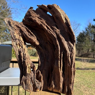 Dark Brown Hardwood Driftwood 16x7x12   Textured Grain with Natural Openings
