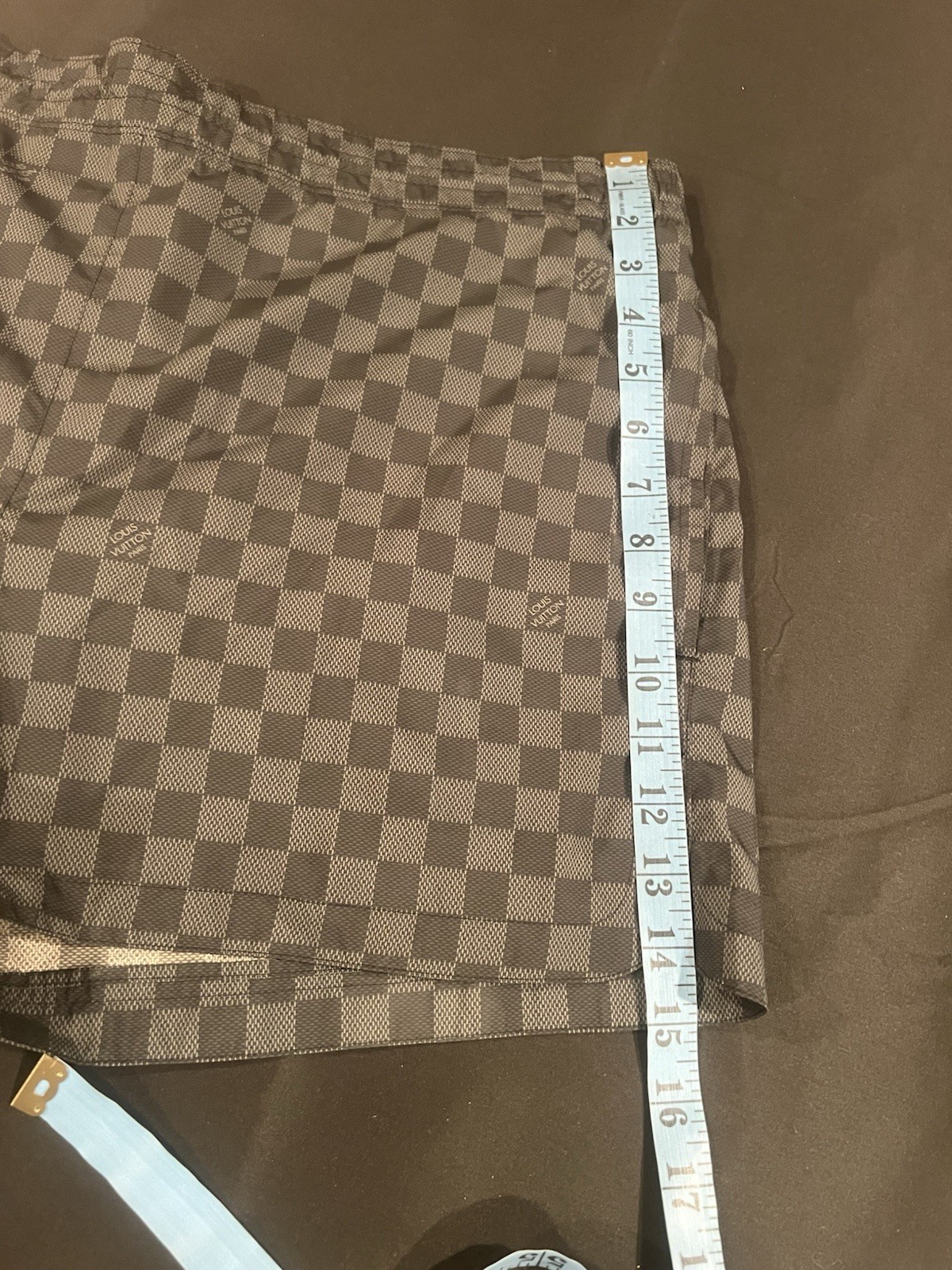 Louis Vuitton Men’s Swimsuit Shorts.XL image 7