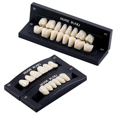 28Pcs/Set JMU Dental Acrylic Resin Denture False Teeth A1/A2/A3, T6/T8
