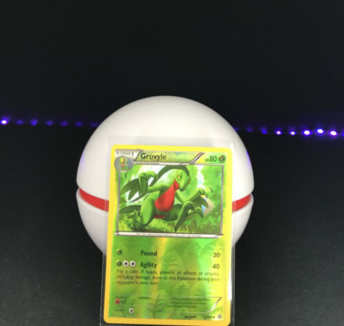 Grovyle - 7/160 - Rare - Reverse Holo - Pack Fresh - XY Primal Clash - Picture 1 of 7