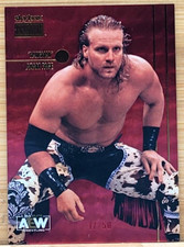 HANGMAN ADAM PAGE 2022 AEW METAL UNIVERSE PREMIUM STAR RUBIES  #D/50