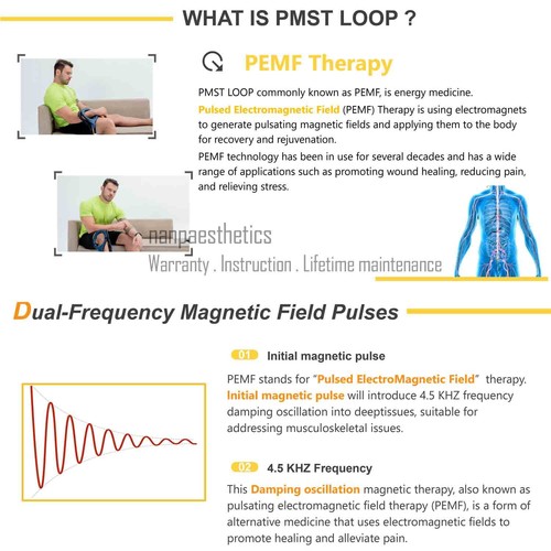 PMST Loop PEMF Therapy Macchina Magnetica per Sollievo dal Dolore Sport Recupero Lesioni - Foto 18 di 40