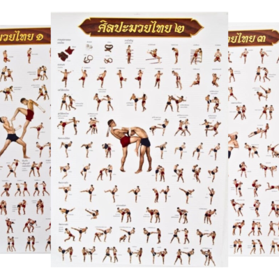 Boxe Muay Thai Thaïlande Icônes De Kickboxing | Vecteur Premium Boxe Muay Thai Thaïlande Icônes De Kickboxing | Vecteur Premium