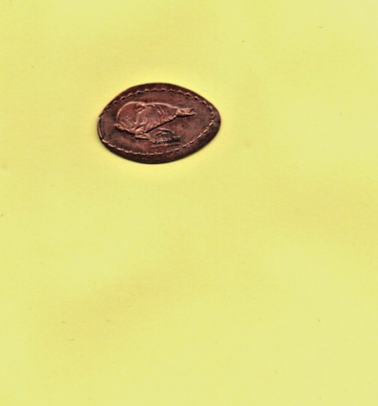 Sea World Walrus Elongated Pressed Smashed Coin Penny