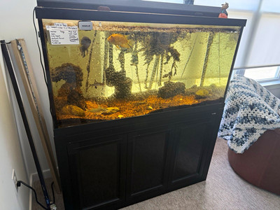 Aqueon 90 gal Glass Freshwater Aquarium Fish Tank w/ Wood Stand 72 in whole set
