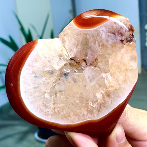 170G Natural Ágata Roja Forma Corazón Cuarzo Cristal Gema Mineral Espécimen - Imagen 2 de 13