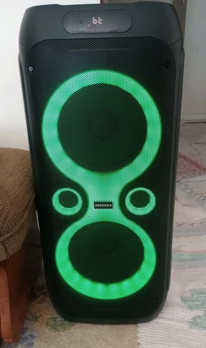 JAPOUCA Karaoke Machine - Portable Speaker System With Great Sound And Bass