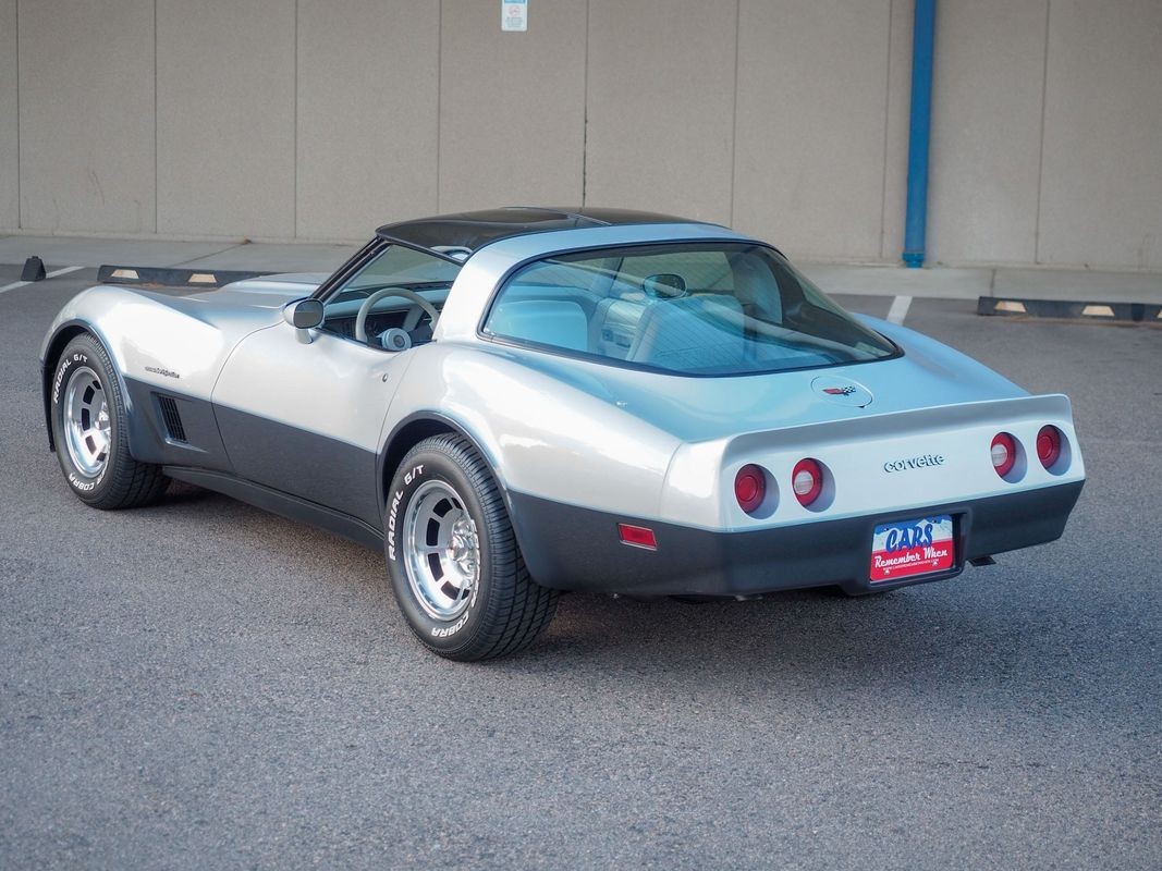 1982 Silver Chevrolet Corvette   | C3 Corvette Photo 2