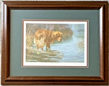 Vintage Art Dog Print, Randy McGovern, LE 1446/3200 "Where's that Ball?", Hidden