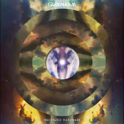 Gumnaam Wavetable Hardware NEAR MINT Riddim & Culture Recordings Vinyl LP