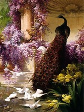 peacock doves in a Garden Tile Mural Kitchen Bathroom Backsplash Marble Ceramic