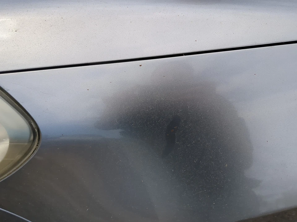 Guardabarros de conductor para Suzuki Kizashi 2010-2013 PRYOF Foto 2 de 4