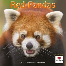 Carousel Calendars,  Red Pandas 2026 Wall Calendar by Gladstone Media, 12'' X 12