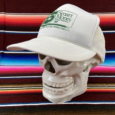 Vtg Smart Momey Energy Program 1989 Snapback Adult Rooe Hat Cap WI Electric Co