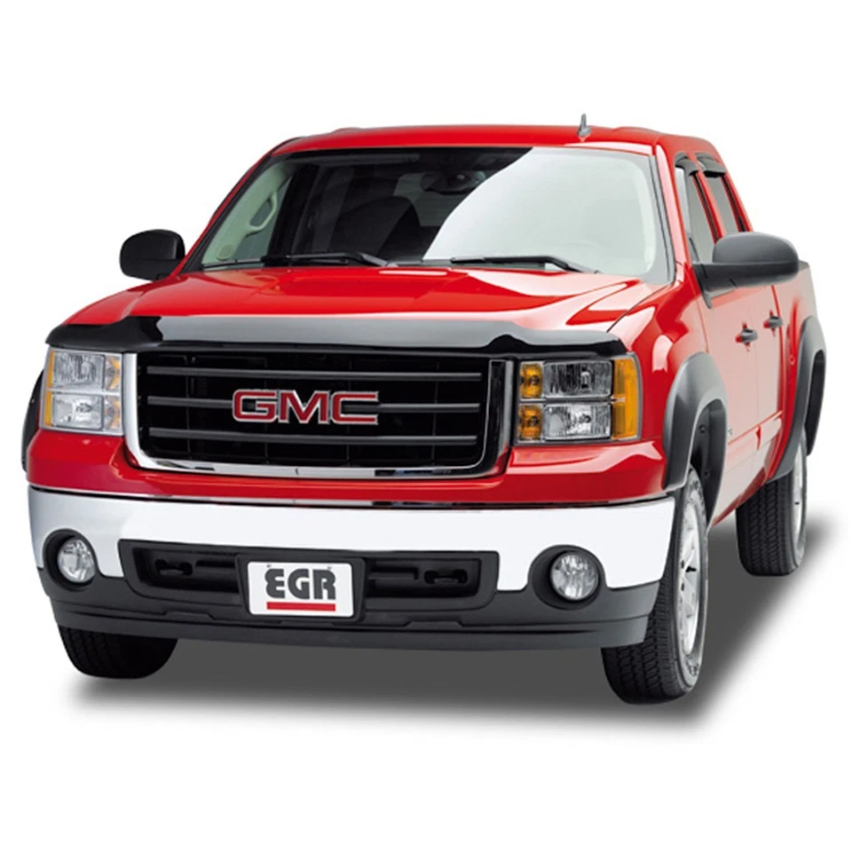 392851 EGR Bug Shield for Ram Truck 3500 2500 Dodge 2010 - Image 4 of 4